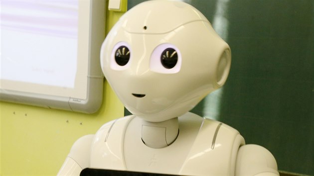 Humanoid dostal jméno Ruben, zkráceně Ruby, které má navázat na myšlenku Čapkova románu RUR, kde slovo robot zaznělo vůbec poprvé.