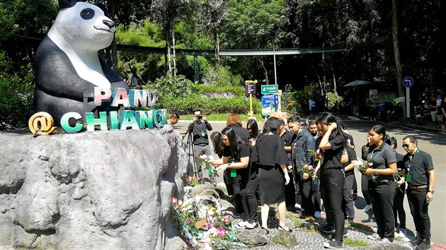 Pracovnci thajsk zoo kladou kvtiny u sochy uhynulho pandho samce chuang chuanga. (18. z 2019)