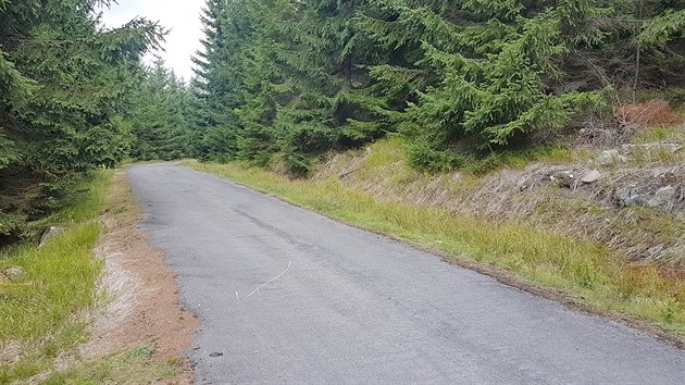 Cel trasa vede schovan lesem, okoln kopce jsou z Terex-Janoukovy cesty vidt jen vjimen.