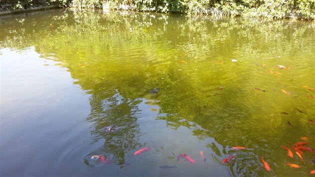 V podhrad, Stbrn Skalice, okres Praha-vchod. Na zahrad je bazn (bval koupalit) s chovem ryb. 