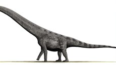 Hypotetická rekonstrukce vzezení jednoho z nejvtích známých sauropodních...