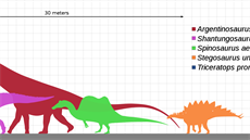 Sauropodi byli giganti dokonce i ve srovnání s ostatními dinosaury. I ti...