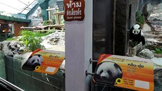 Prázdný výbh pandího samce chuang chuanga, který poel v thajské zoo (18....