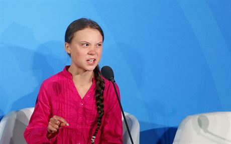 vdsk ekologick aktivistka Greta Thunberg na klimatickm summitu v New...