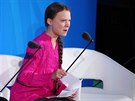 Šestnáctiletá ekologická aktivistka Greta Thunbergová vystoupila na Valném...