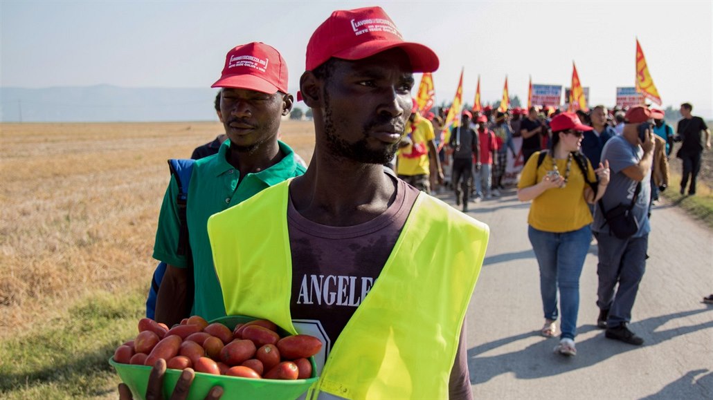 Protest sezónních sběračů rajčat v Apulii za lepší pracovní podmínky (8. srpna...