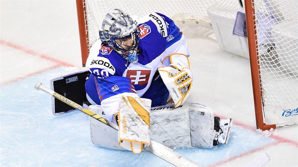 Slovenský reprezenta�ní branká� Denis Godla.