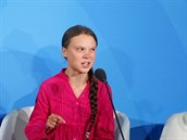 Švédská ekologická aktivistka Greta Thunberg na klimatickém summitu v New...