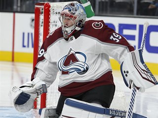 Pavel Francouz v brance Colorado Avalanche