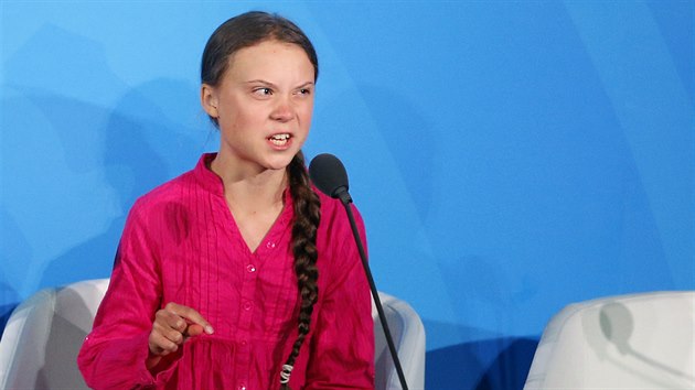 vdsk ekologick aktivistka Greta Thunberg na klimatickm summitu v New Yorku. (23. z 2019)