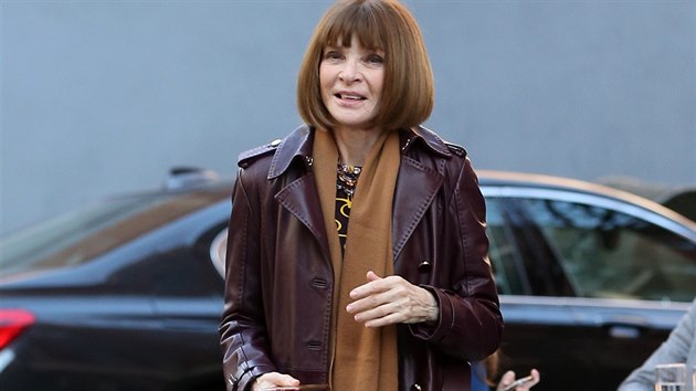 Anna Wintour ze sv dlouholet pozice fredaktorky americk Vogue bv povaovna za nejvlivnj osobu v mdnm prmyslu. Zaruen ji poznte podle svtle hndho mikda a ernch brl. Ostatnm rad, jak se oblkat... Co ale vlastn nos ona sama?