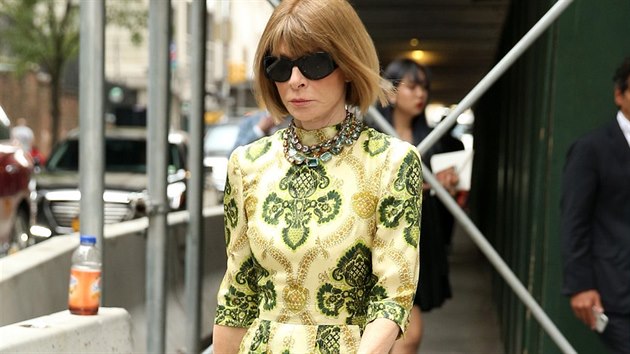 Anna Wintour ze sv dlouholet pozice fredaktorky americk Vogue bv povaovna za nejvlivnj osobu v mdnm prmyslu. Zaruen ji poznte podle svtle hndho mikda a ernch brl. Ostatnm rad, jak se oblkat... Co ale vlastn nos ona sama?