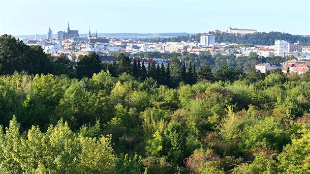 Plocha za Fakultou regionlnho rozvoje Mendelovy univerzity v Brn je dnes zarostl.
Vyrst na n m modern vdeck centrum.