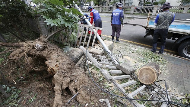 Tajfun Tapah srazil zdku a strom v korejskm mst Busan. (23.9.2019)