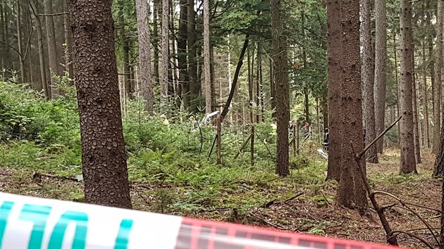 Letadlo, kter� vyslalo nouzov� sign�l, na�li policist� v lese u obce Petrovice na Klatovsku. V trosk�ch zem�eli dva lid�, mu� a �ena. (27. 9. 2019)