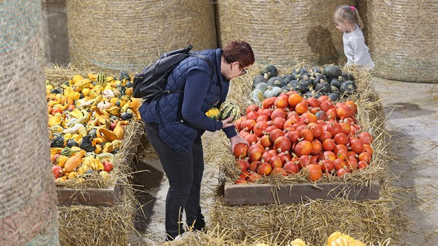 Na rodinn farm manel Pipkovch v Nov Vsi u Letiny nedaleko Golova Jenkova na Havlkobrodsku, se v ptek odpoledne znovu po roce otevel veejnosti Dov svt. (27.9.2019)