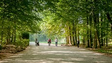 Park u Schwarzenberské hrobky bude o nco hezí.