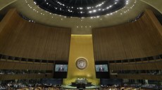 Andrej Babi bhem svého projevu na Valném shromádní OSN.