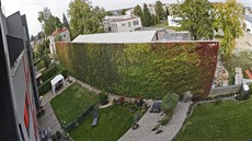 Villa Park Čechovka měla být moderní a klidné bydlení blízko přírody. Brzy po...