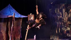 Muzikál Tarzan