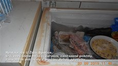 Krví zne�i�t�né mrazící za�ízení a zamrazené potraviny s pro�lou dobou spot�eby...