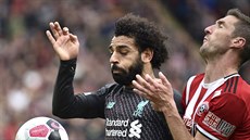 Mohamed Salah z Liverpoolu chrání mí ped soupeem z Sheffield United Endou...