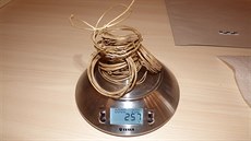 Spirálky z Náchodska p�edstavují jeden z nejv�t�ích depot� prav�kého zlata v...