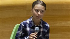 Greta Thunbergová na klimatickém summitu OSN. (23. záí 2019)
