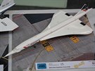Concorde byly sice uzemnny, ale v srdcích modelá stále ijí.