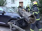 Haii v Ovenecké ulici v Praze museli odklidit strom, který díky silnému vtru...