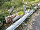 Spadlý strom a pokozená svodidla u Kozlík na Teplicku