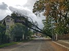Ve Varnsdorfu spadl strom na rodinný dm. (30. záí 2019)