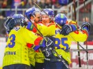 Gólová radost hokejist eských Budjovic.
