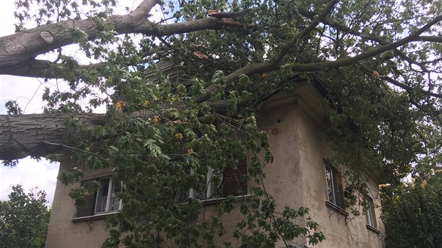 Spadlý strom v Karlově ulici ve Varnsdorfu poškodil rodinný dům.