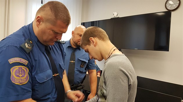 Devatenáctiletému Ukrajinci hrozí až 18 let vězení. V Plzni loni v listopadu dvakrát bodl muže, ten kvůli velké ztrátě krve přišel o nohu. (30. 9. 2019)