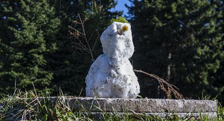 Snhulák na vrcholu erné hory v Krkonoích (7. íjna 2019)