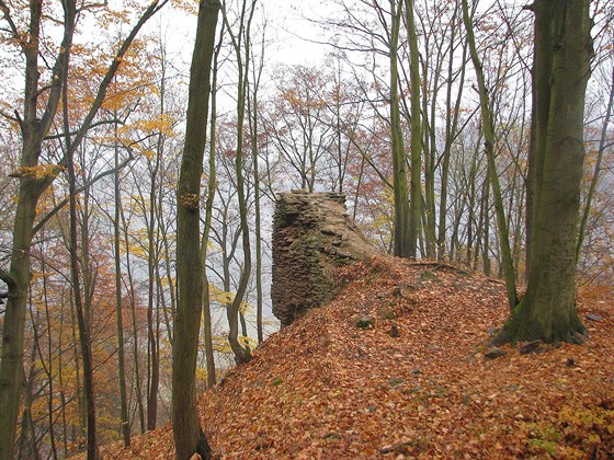 Torzo hradu se tyčí vysoko nad řekou Svratkou – návrší je jí obtékáno hned ze...