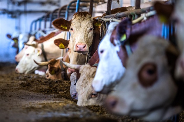 Národní zemědělské dotace mají klesnout skoro na půlku, rozhodla vláda