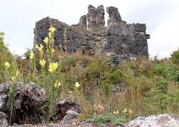 Vzhledem k tomu, e hrad je státem chránnou kulturní památkou, musí stavebníci...