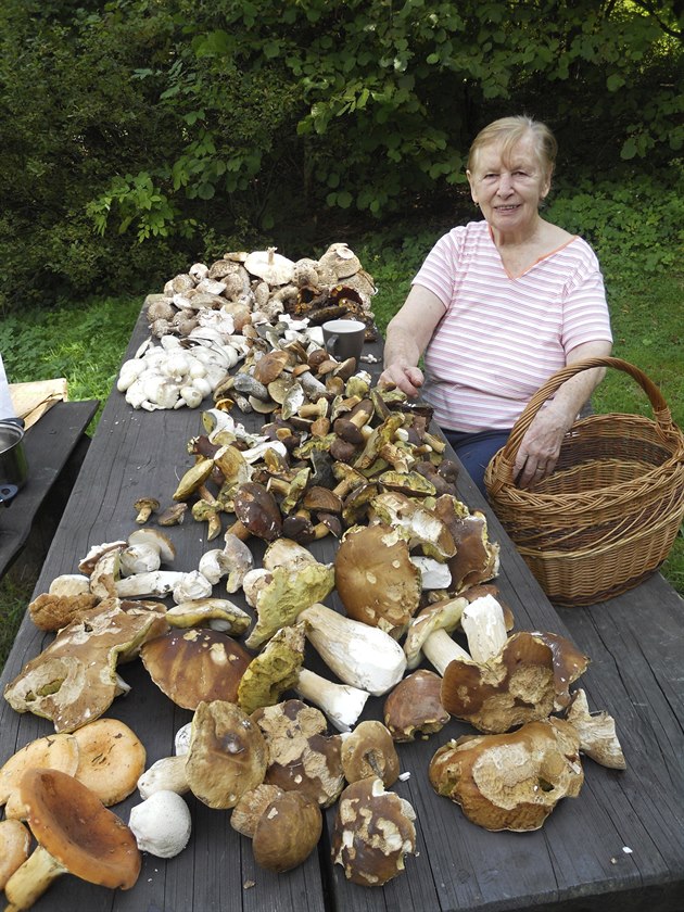 Jiina Mizerová nasbírala v Královci u Valaských Klobouk desítky hub.