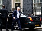 Britský premiér Boris Johnson opouští Downing Street v Londýně. (3.října 2019)