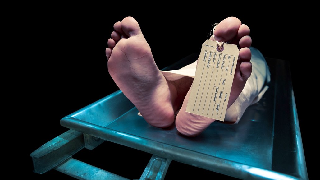 ilustra�ní snímek