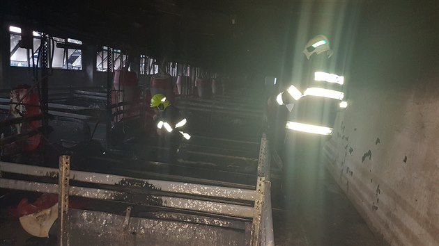 Při požáru v zemědělském družstvu na Olomoucku uhynuly tři selata (6. října 2019).