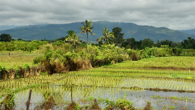 Pvodn malebn krajina Sabahu tvoen horami a tropickou vegetac. Vpoped rov pole.