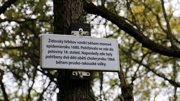 Na nejstar idovsk hbitov v Lounech upozoruje pouze mal cedulka na strom, kter se tu objevila ped pr msci.