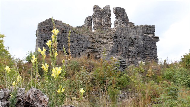 Vzhledem k tomu, že hrad je státem chráněnou kulturní památkou, musí stavebníci postupovat tak, aby neznehodnotili autentické historické prvky hradu.