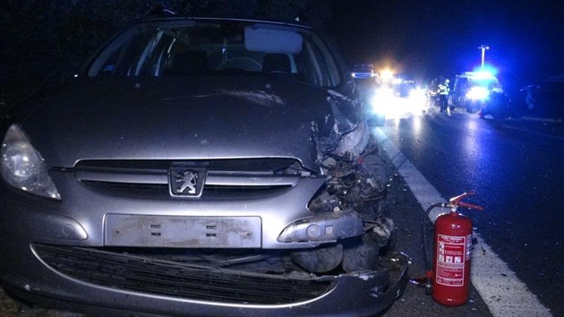 Ke srážce auta s divokými prasaty na dálnici D10 došlo po desáté večer. Na místě pak havarovala další dvě auta. (7. října 2019)