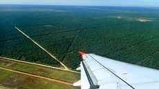 Pohled na Borneo z letadla není radostný. Tropické stromy byly na obrovských...