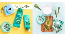 Garnier