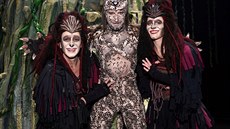 Dita Hoínková, Tomá Smika a Michaela Gemrotová v muzikálu Tarzan